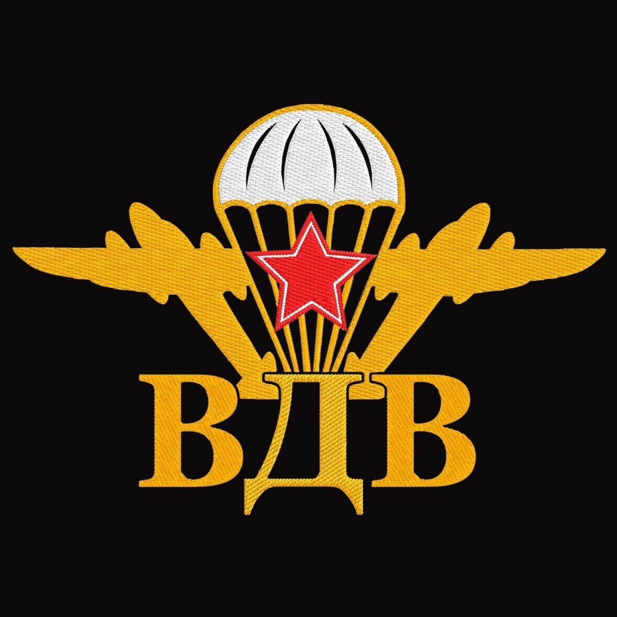 11 Отдельная десантно-штурмовая бригада ВДВ