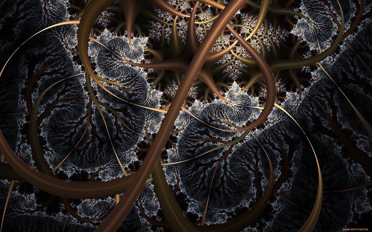 Фрактал мальденброта в природе