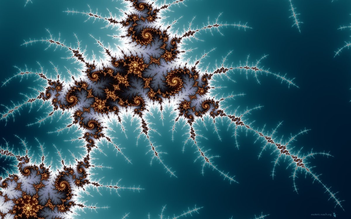 Фрактал мальденброта в природе