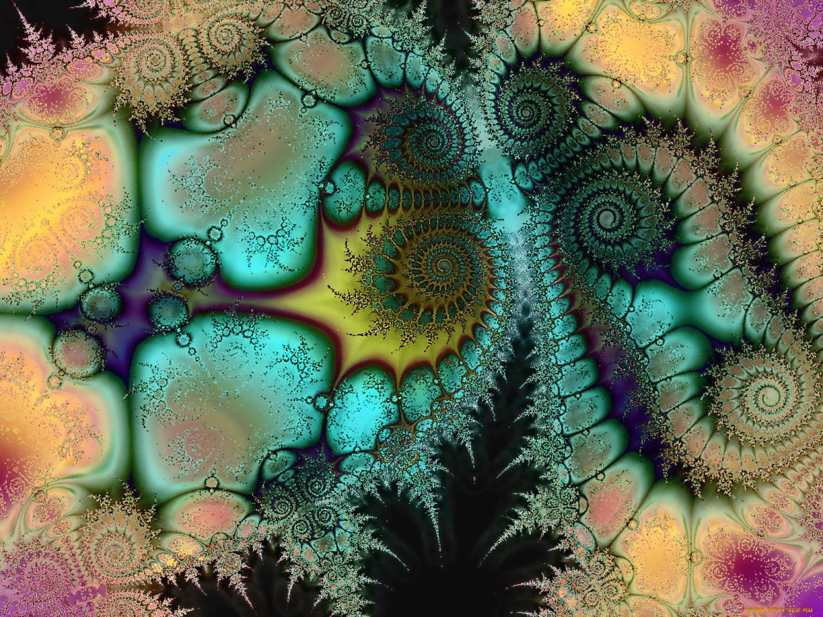 Фрактальные редакторы