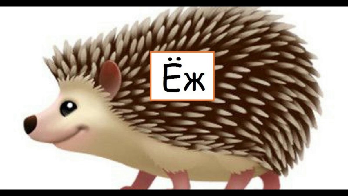 Ежик мультяшный