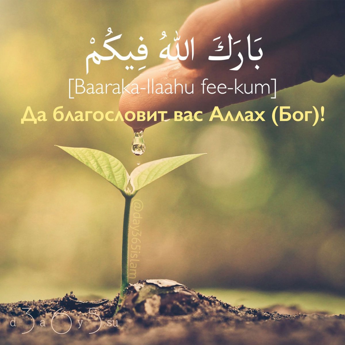 Исламские мотиваторы