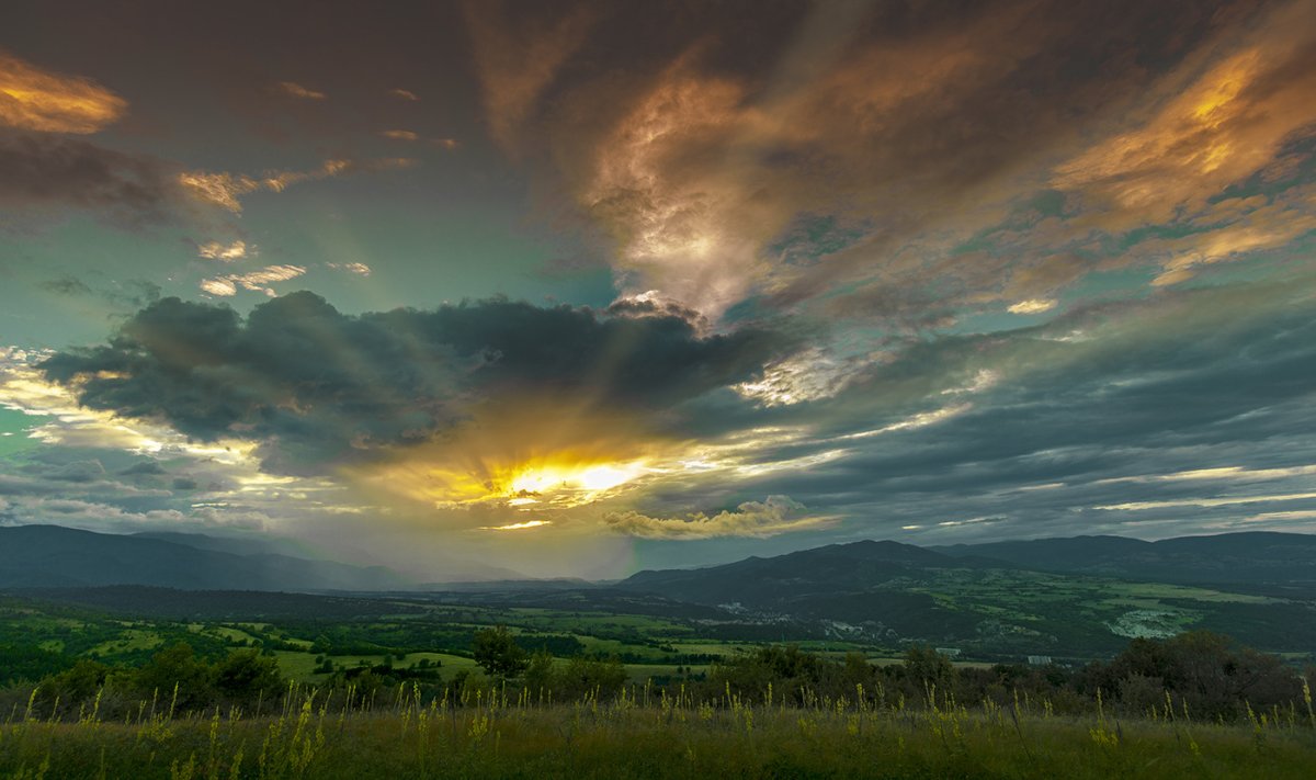 Высказывания о благодарности