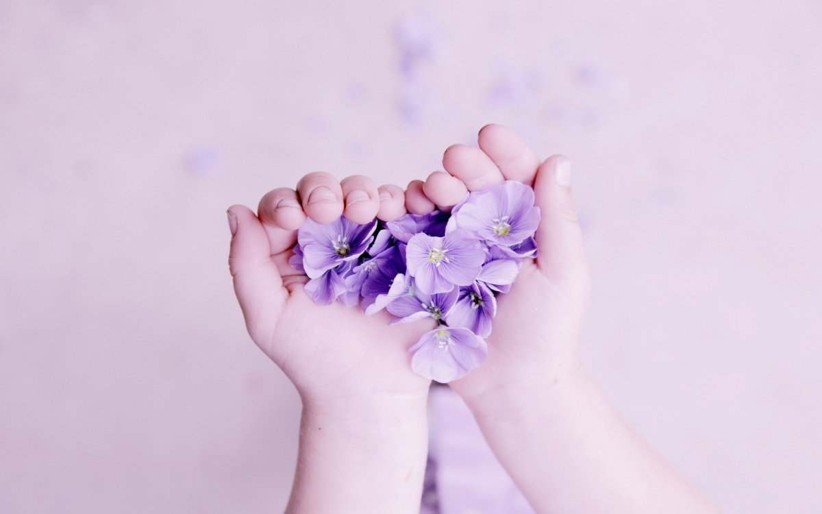 Нежные цветы в руках