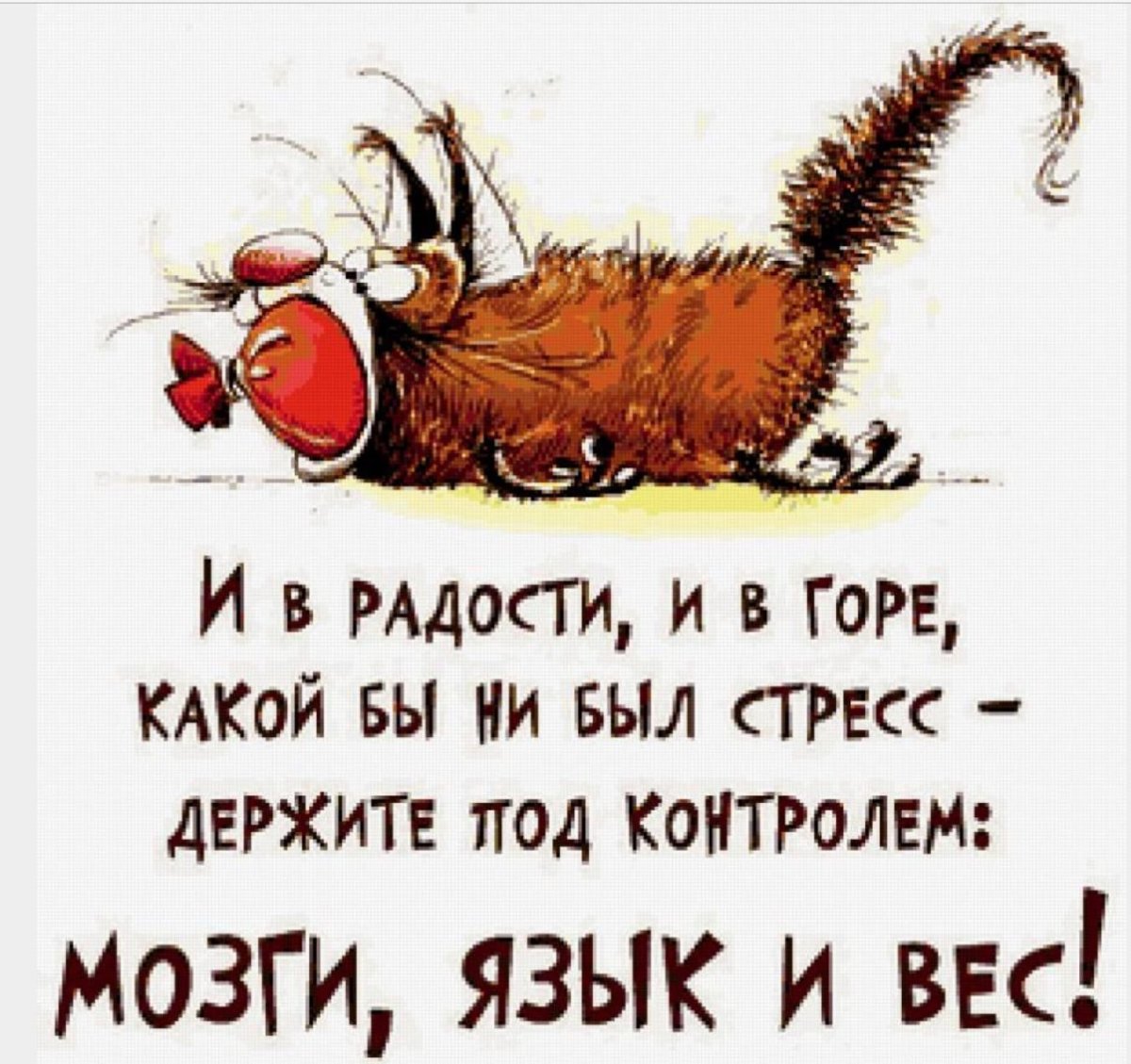 Любим дурачиться цитаты