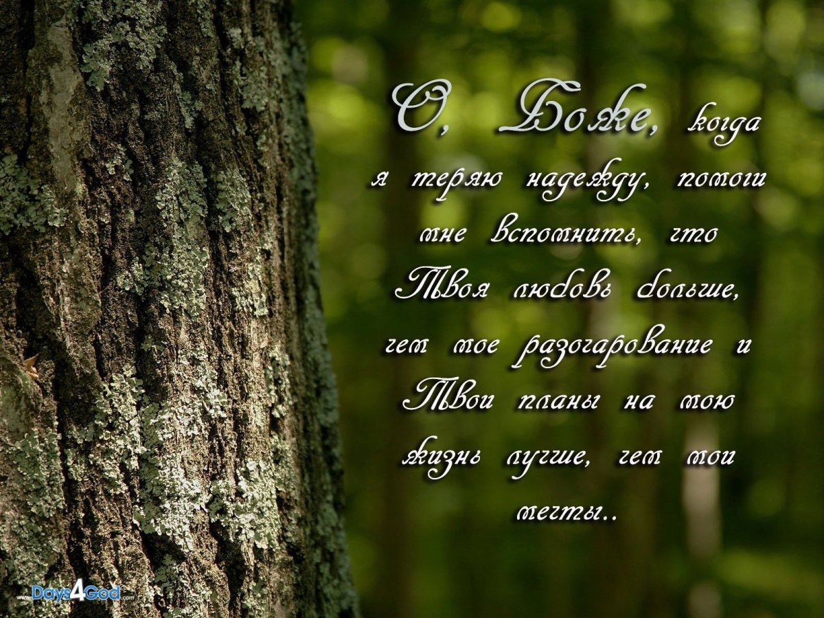 Библейские стихи в картинках