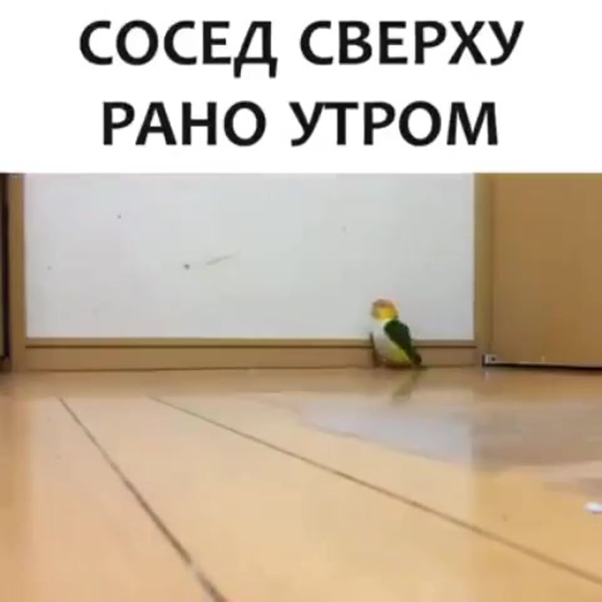 С добрым утром соседи