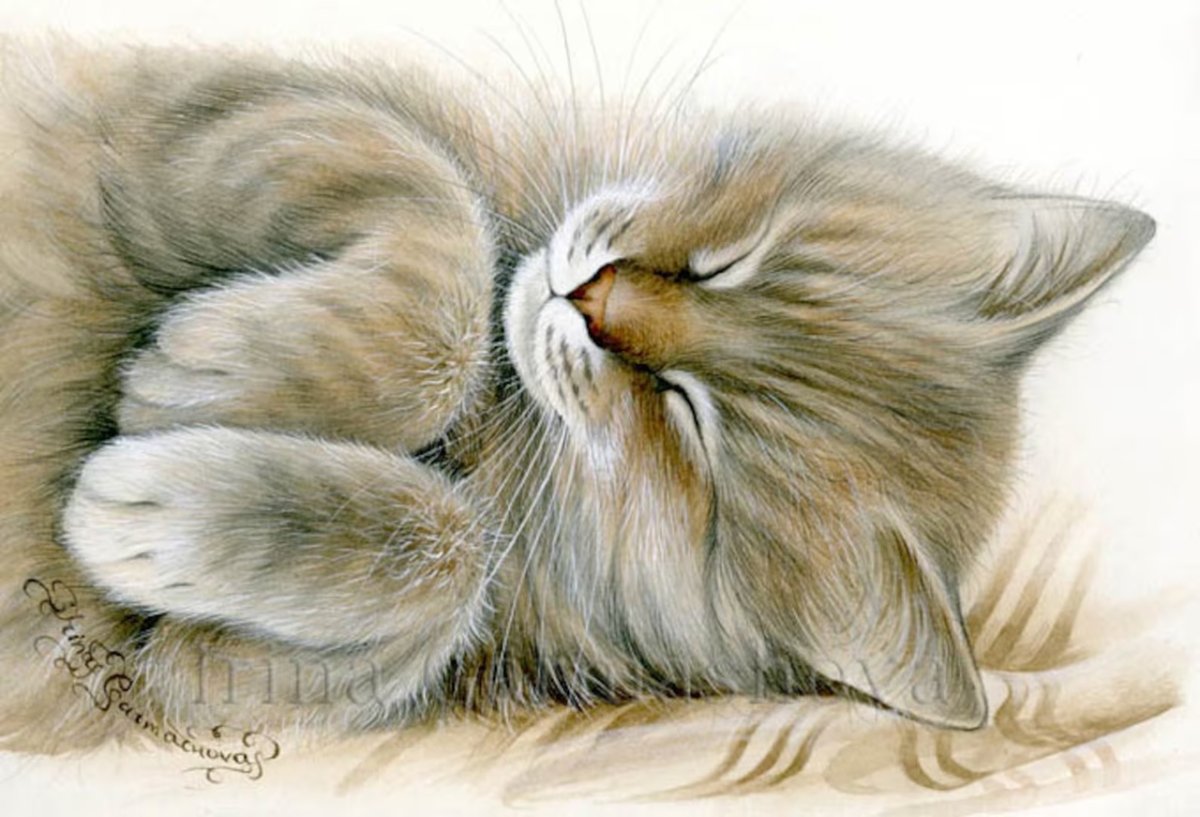 Ирина Гармашева художница