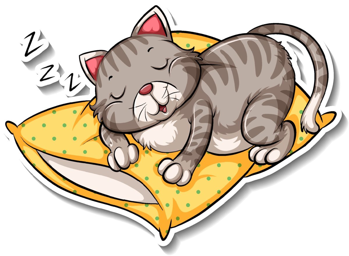 Кошка спит на подушке вектор