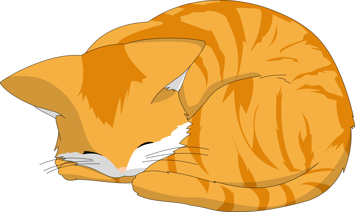 Спящий кот рисунок