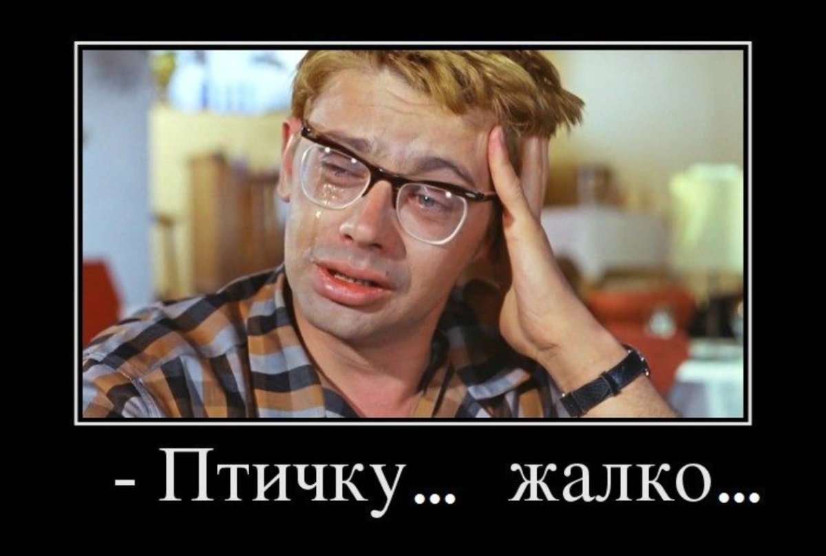 Кавказская пленница птичку жалко