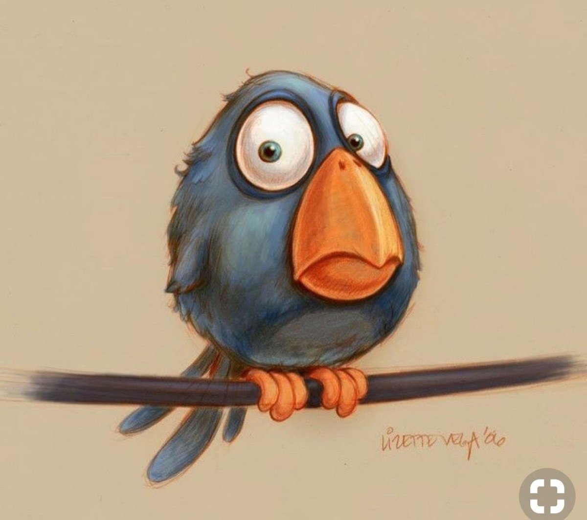 Животные шутят