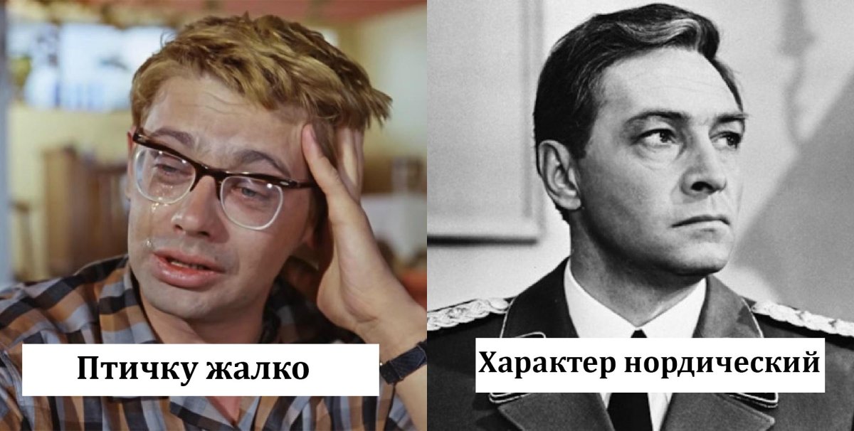 Птичку жалко Мем