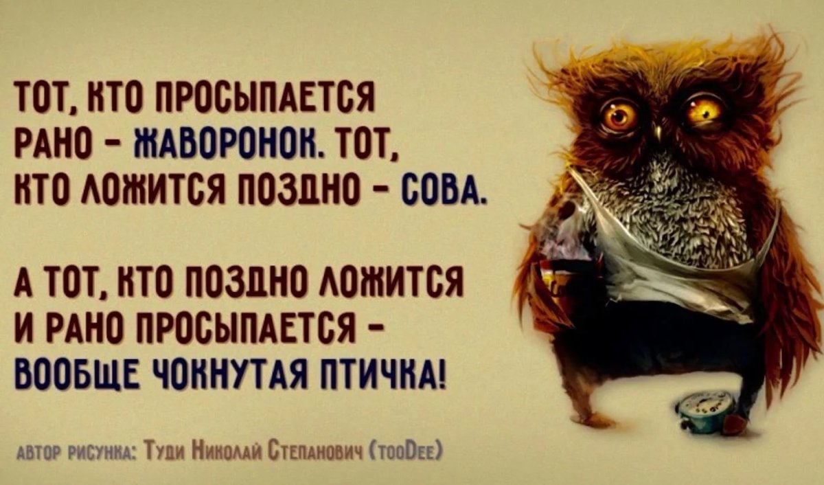 Смешные Совы