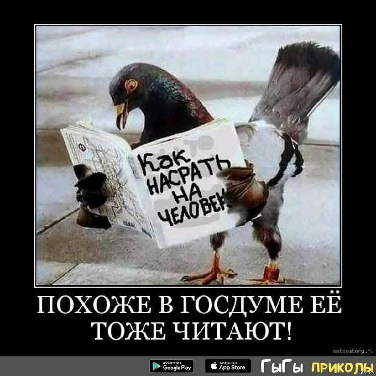 Я не разбираюсь в птицах