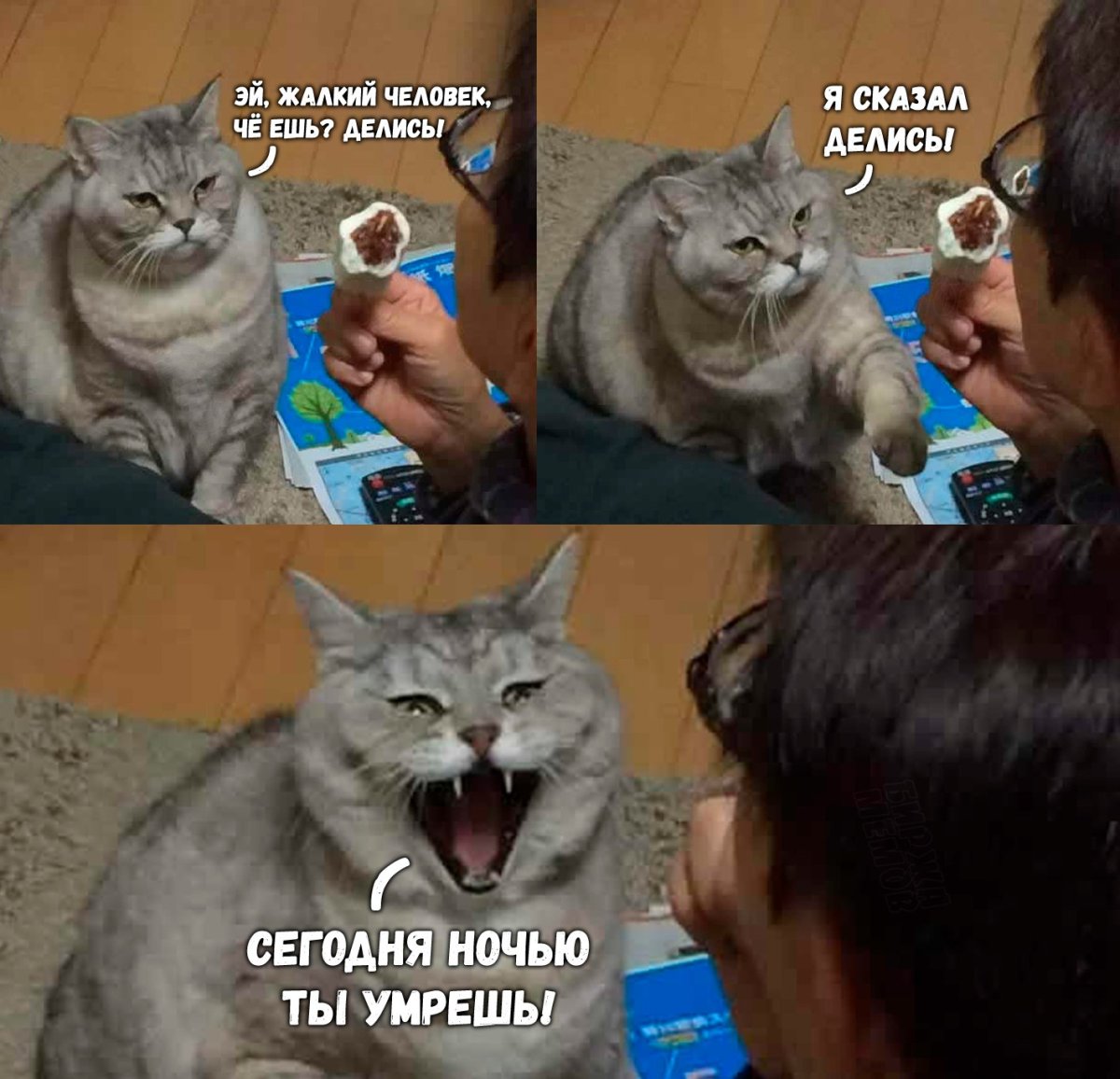 Владимир Стахеев художник коты