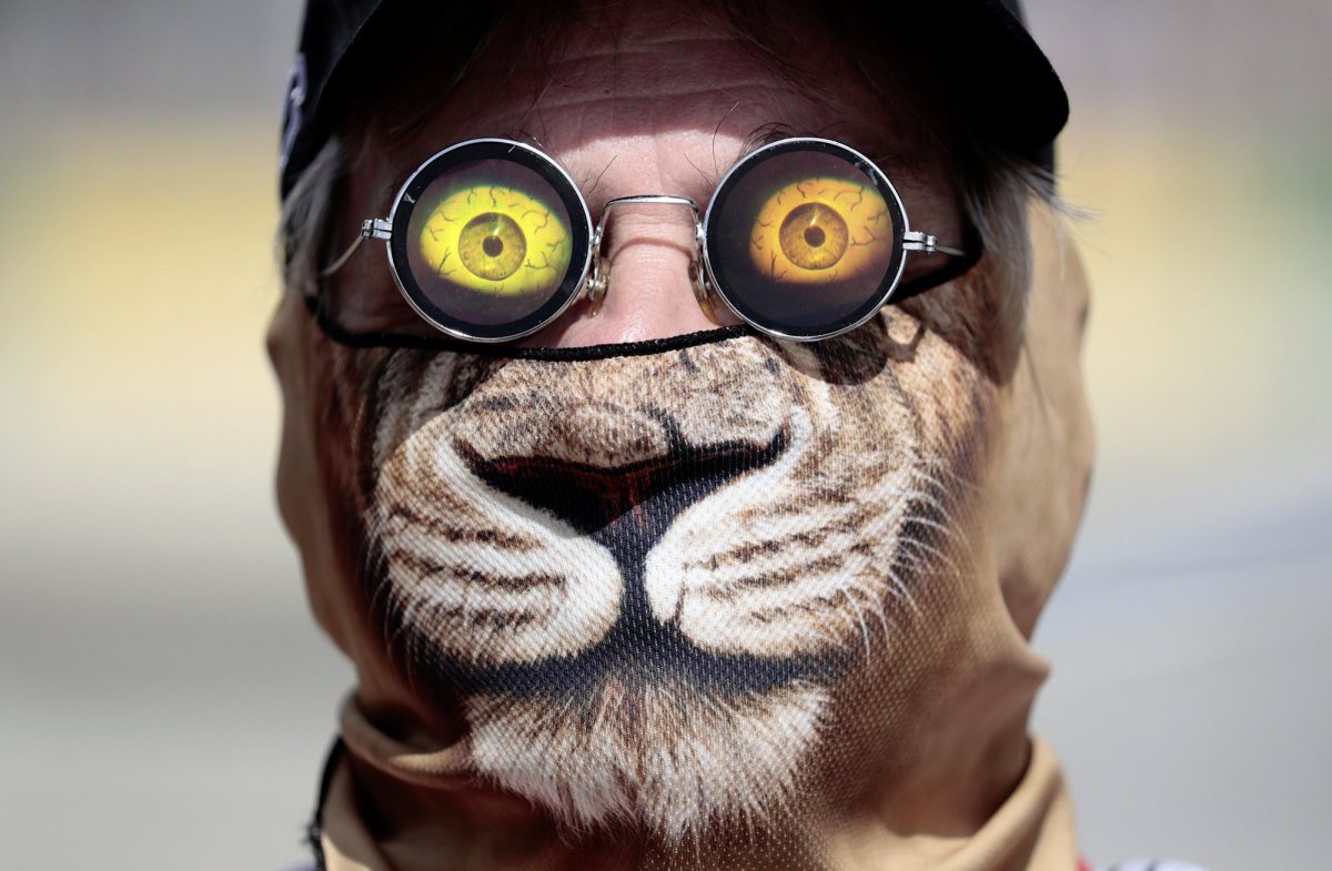 Прикольные картинки на аватарку