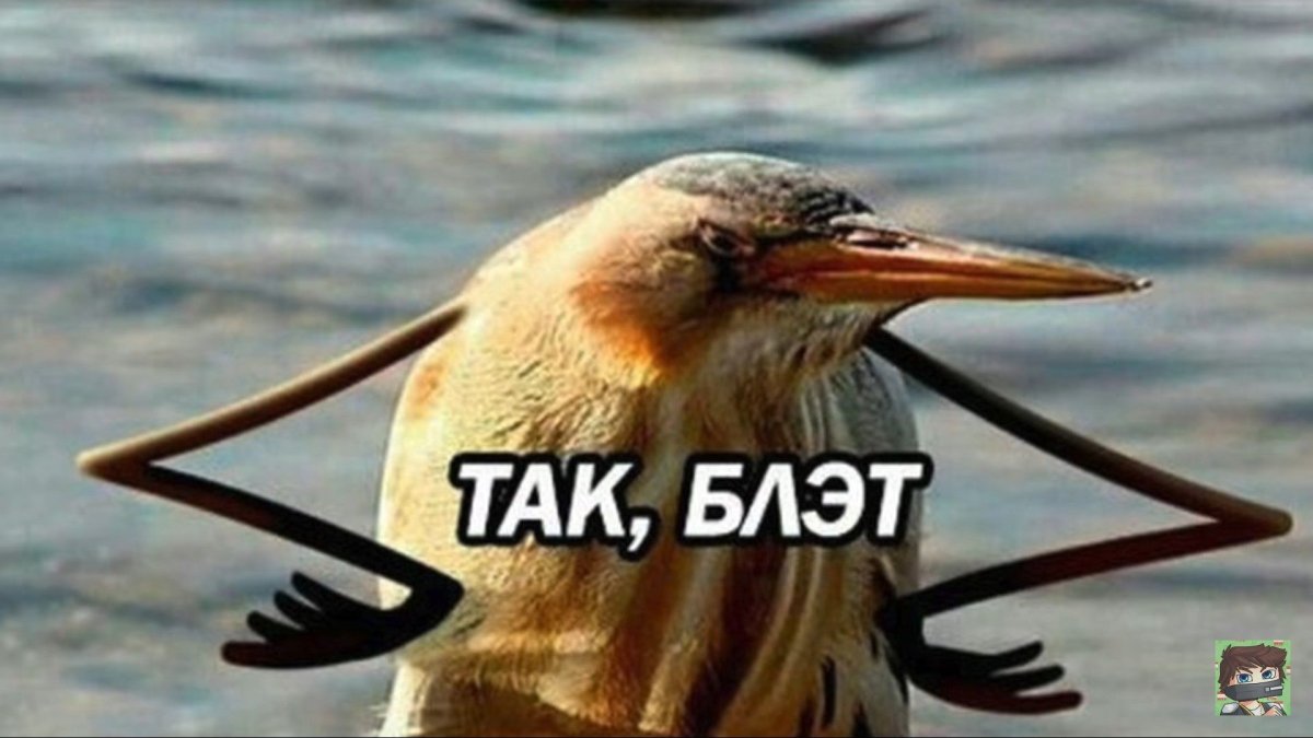 Птичка блэт