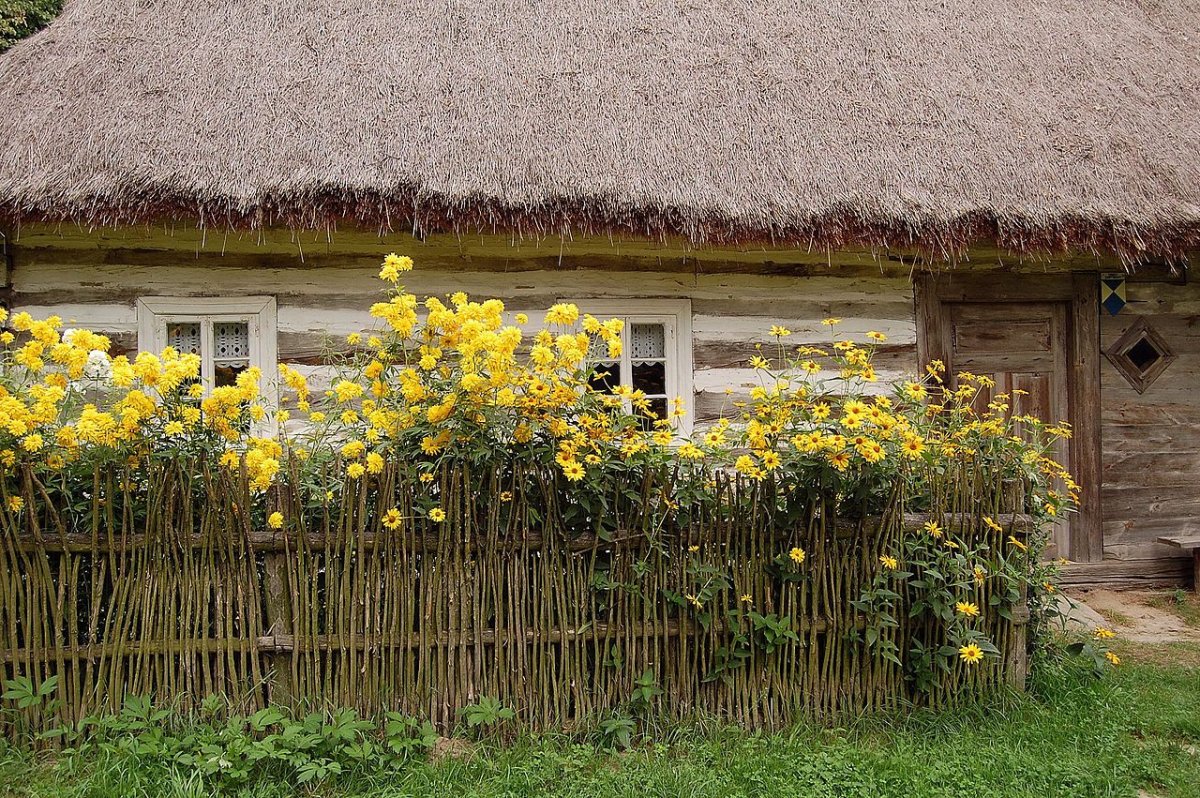 Плетень Мазанка Украина