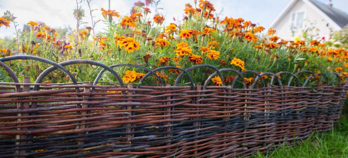 Изгородь Кубань