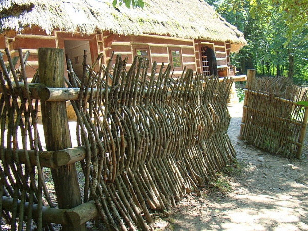 Забор из тына