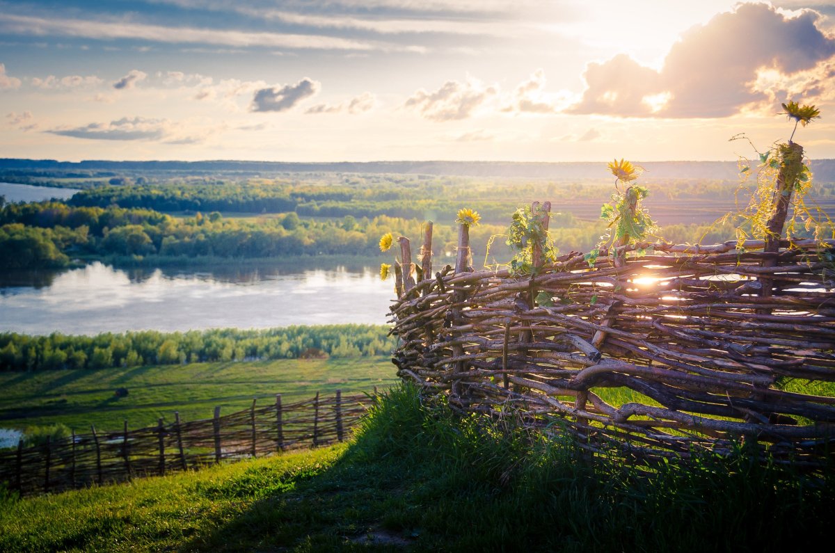 Околица хутора Околица хутора