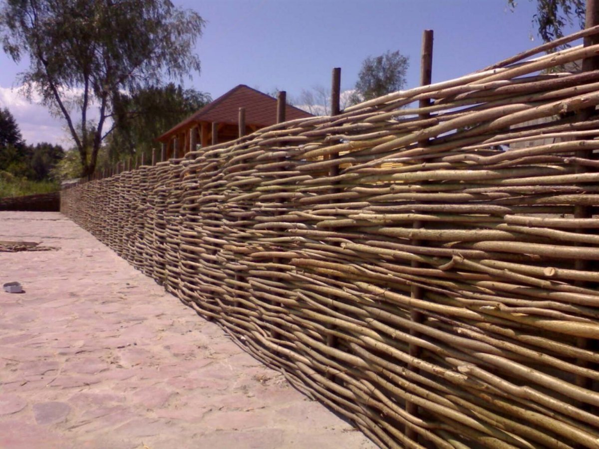 Забор плетень