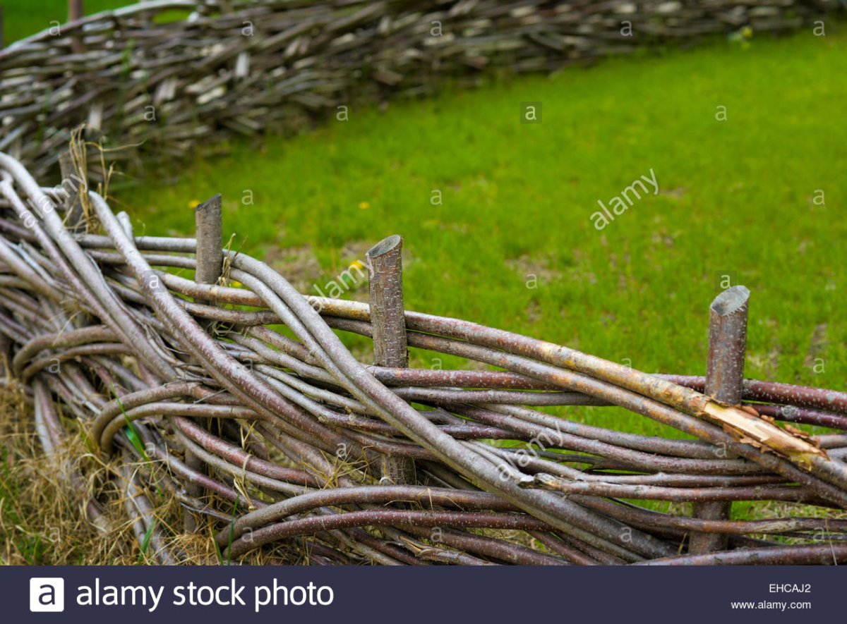 Забор плетень лоза