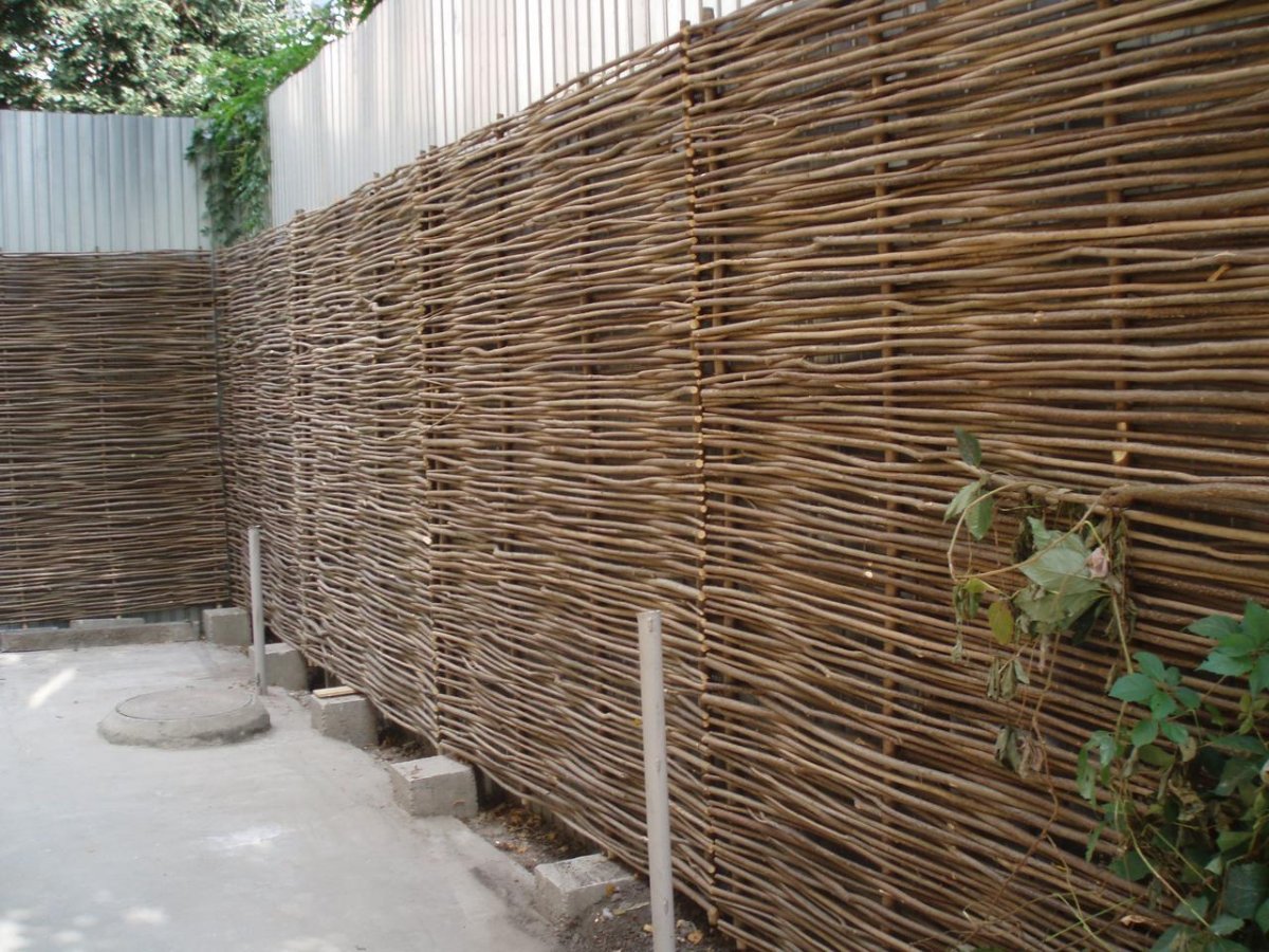 Забор плетень лоза