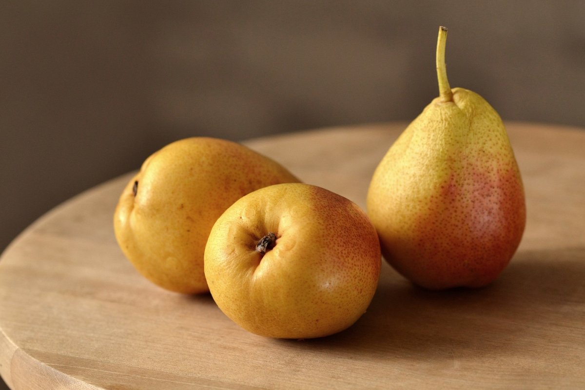 Груша красивая