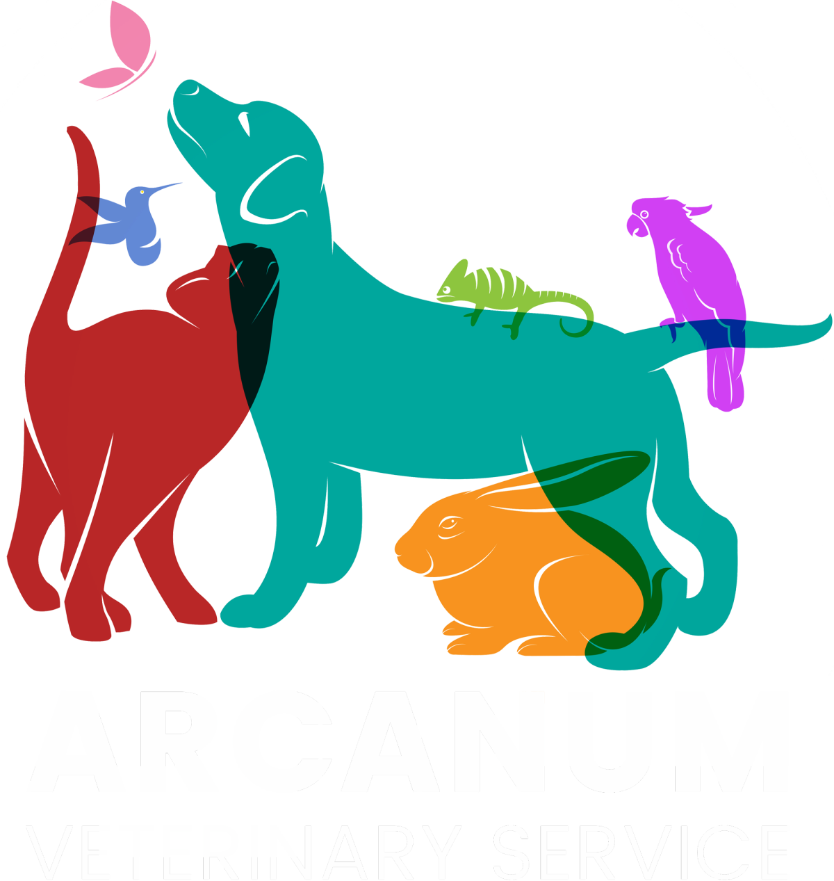 Забавный фон для презентации