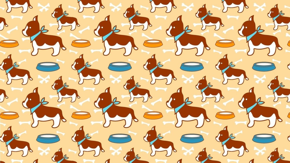 Питомцы на белом фоне