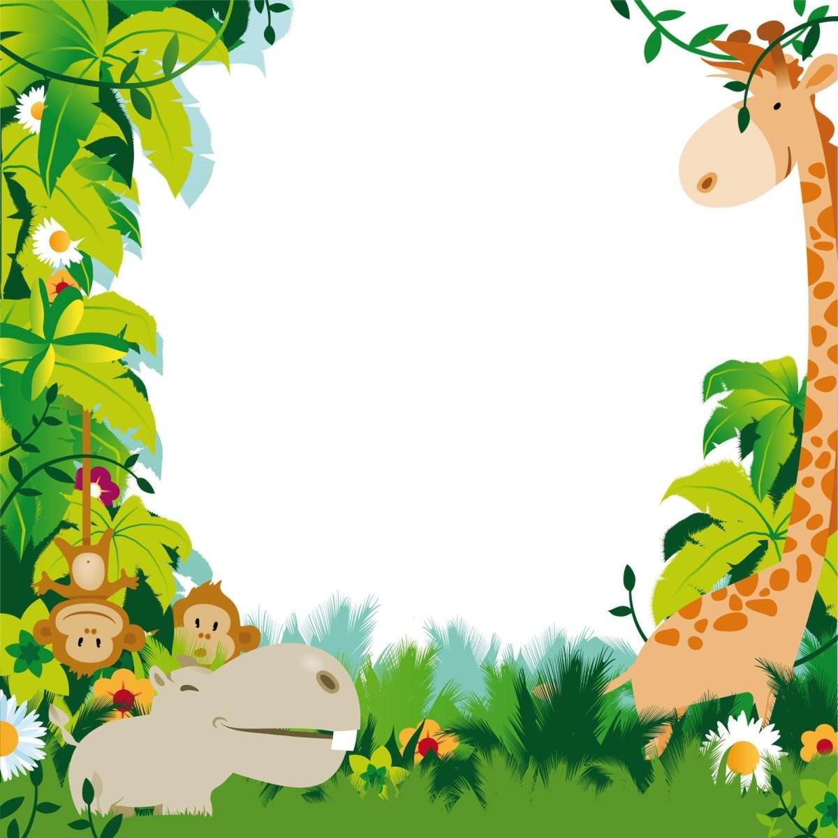 Домашние животные на белом фоне