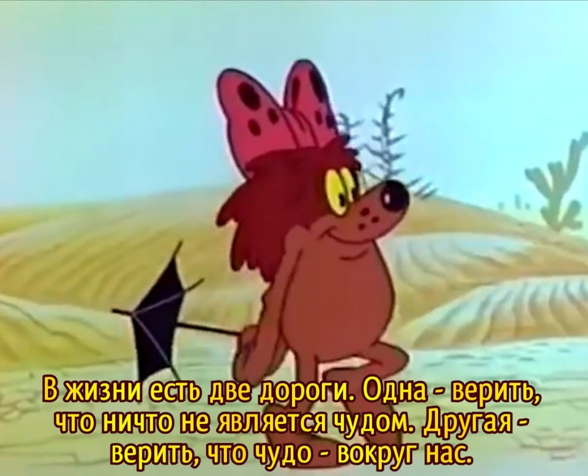 Герои мультика Дюдюка Барбидокская