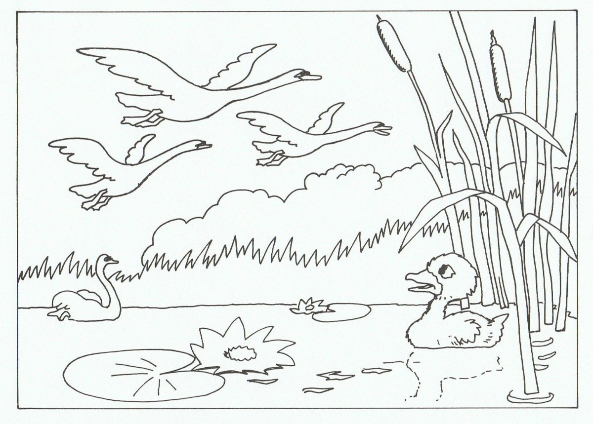 Утка с утятами рисунок карандашом