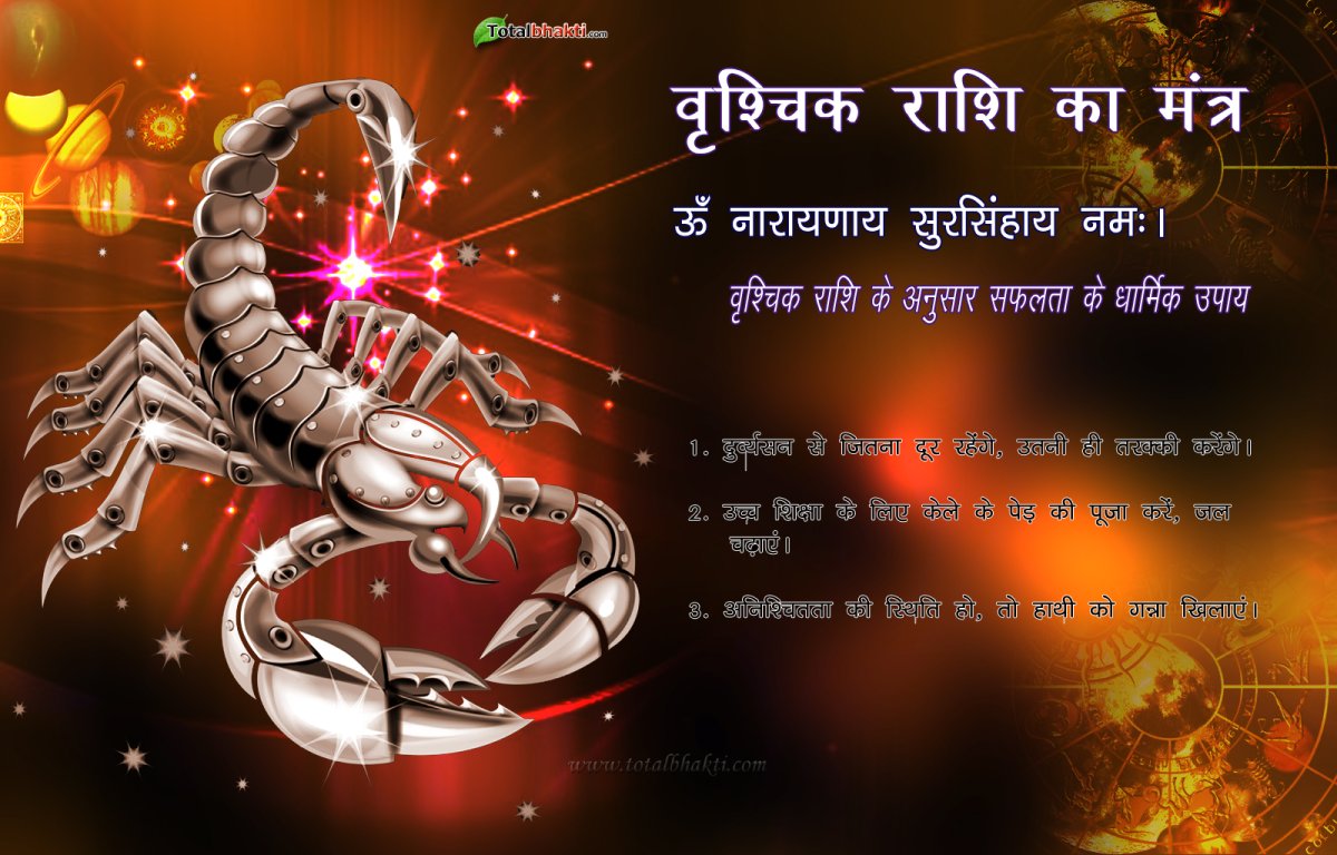 Скорпион на заставку