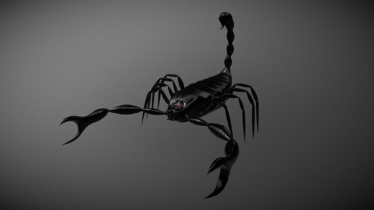 Скорпион фото картинки