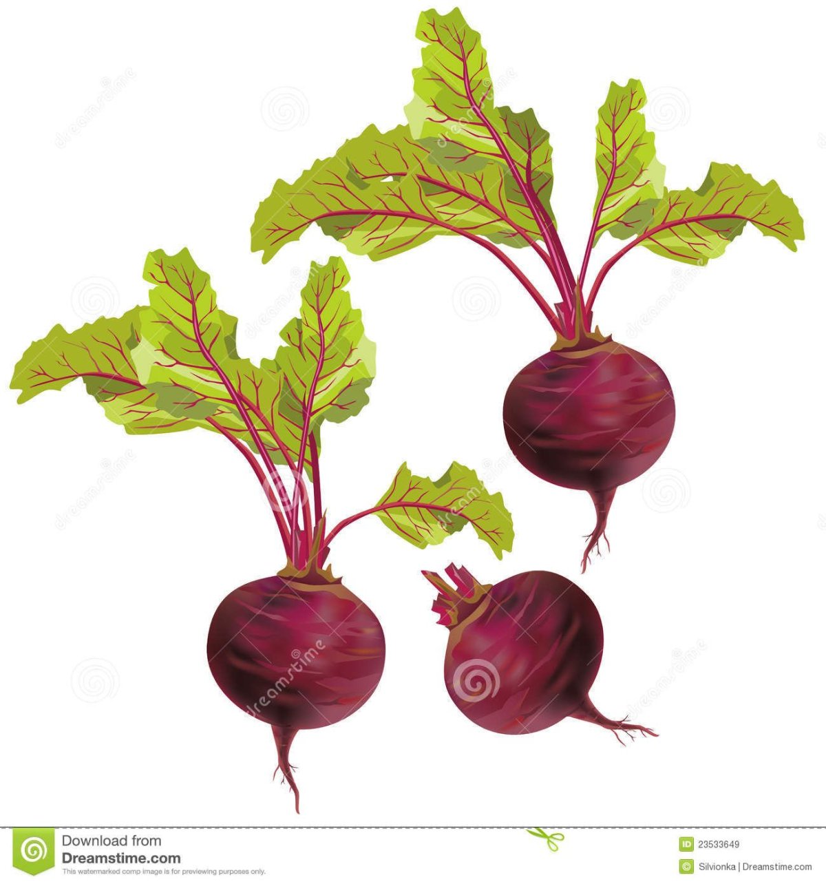 Свекла одна на белом фоне