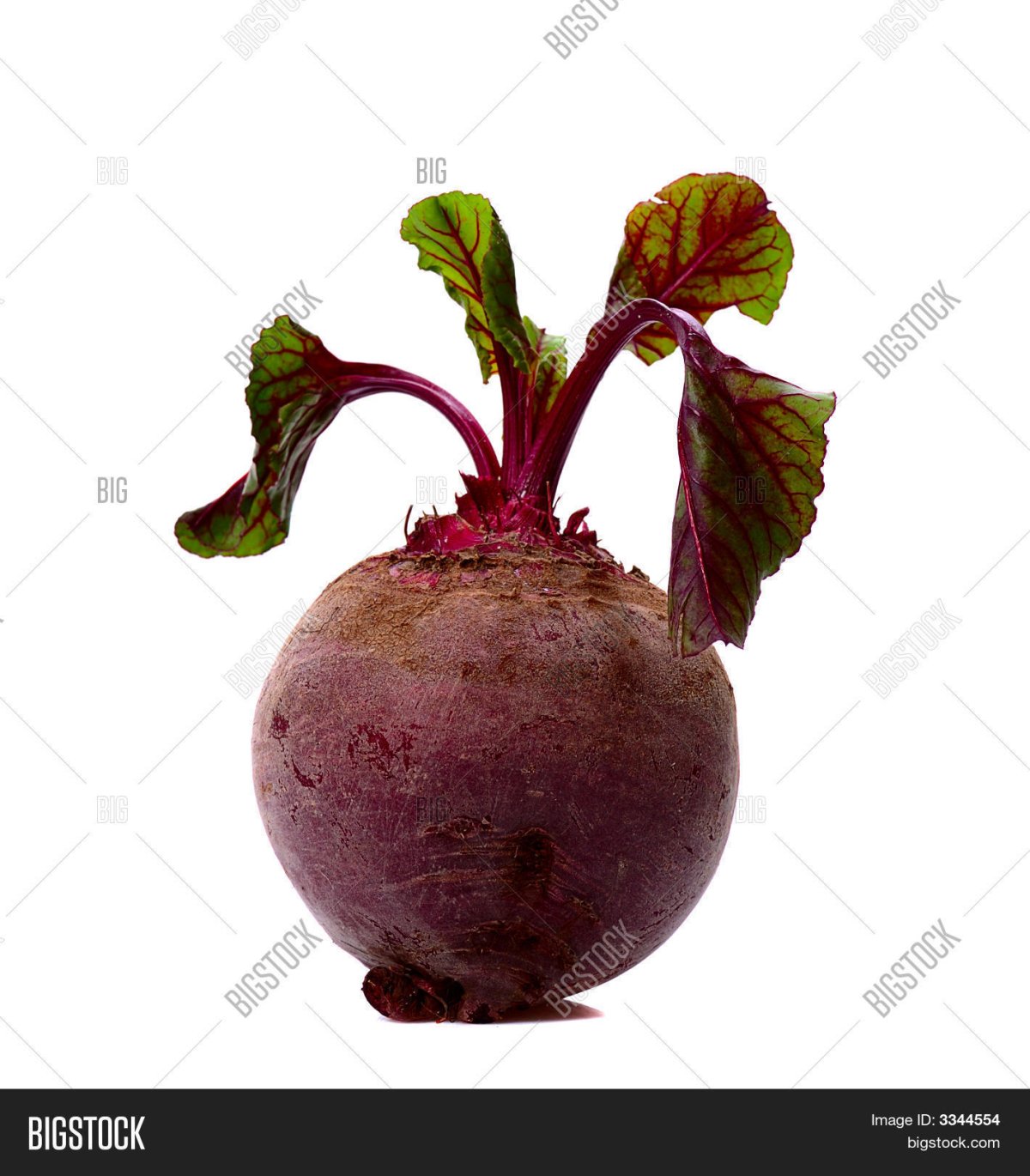 Свекла на белом фоне