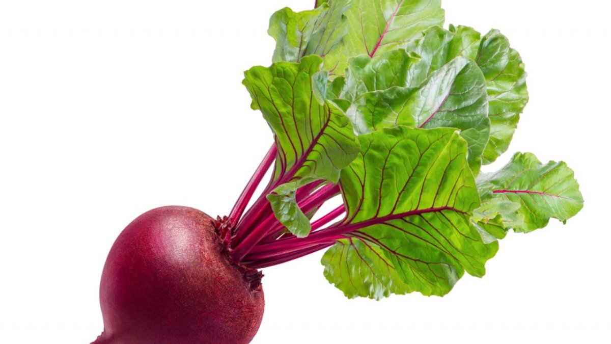 Свекла с ботвой на белом фоне