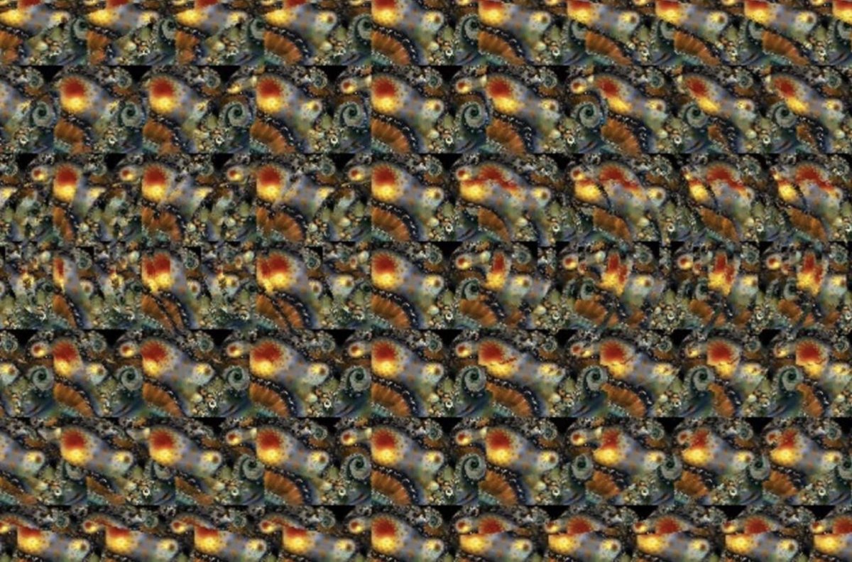 Стереокартинка Дельфин