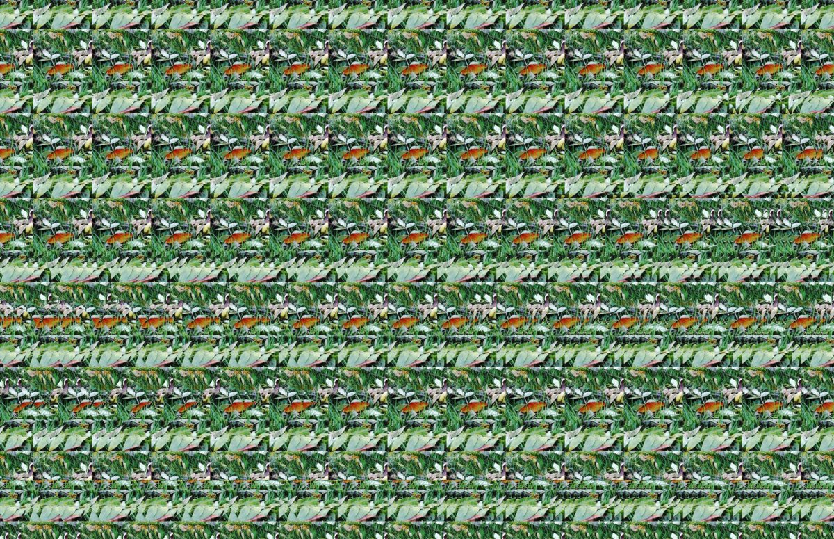 Стереограмма матрица