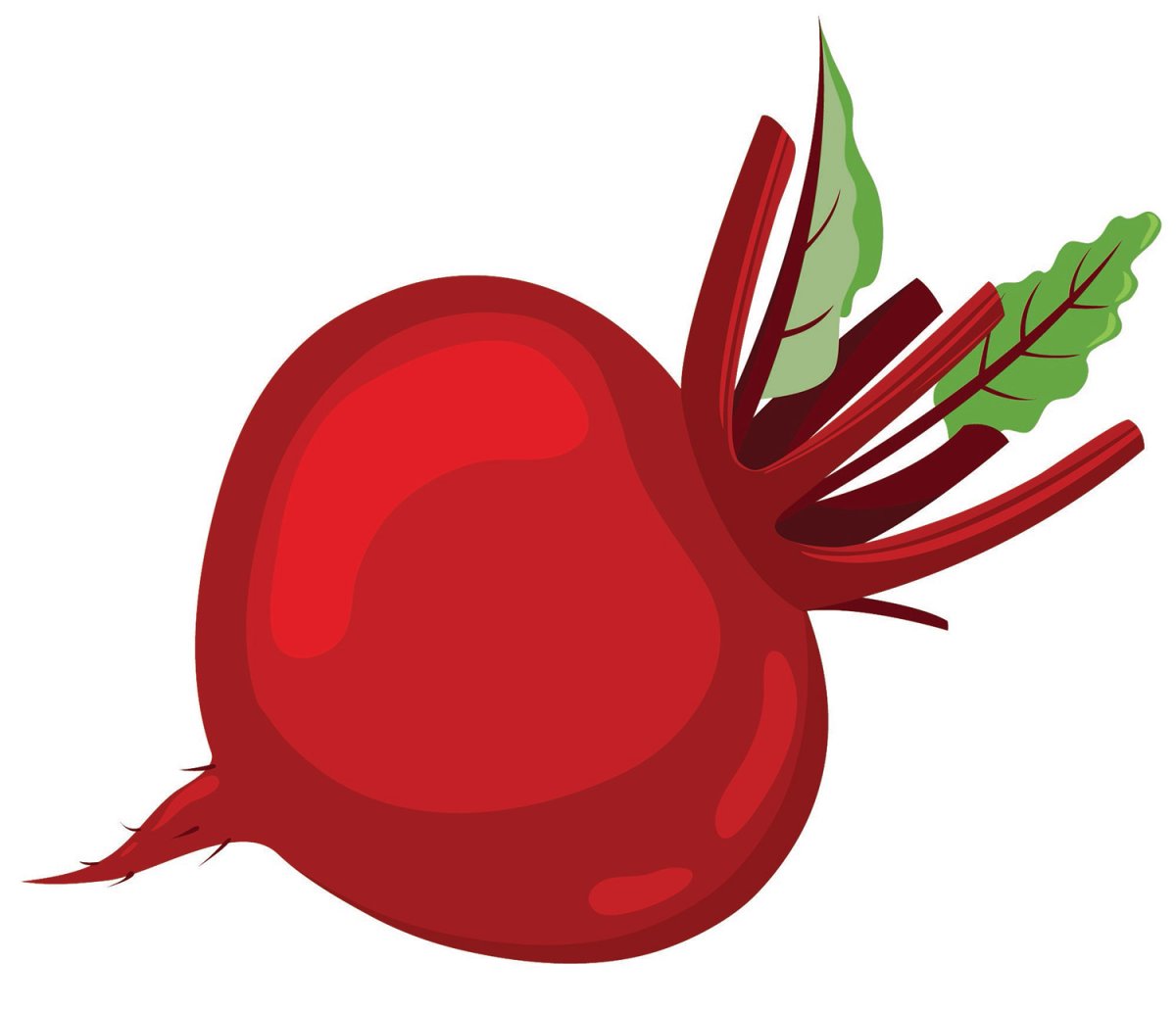 Свекла мультяшная на белом фоне