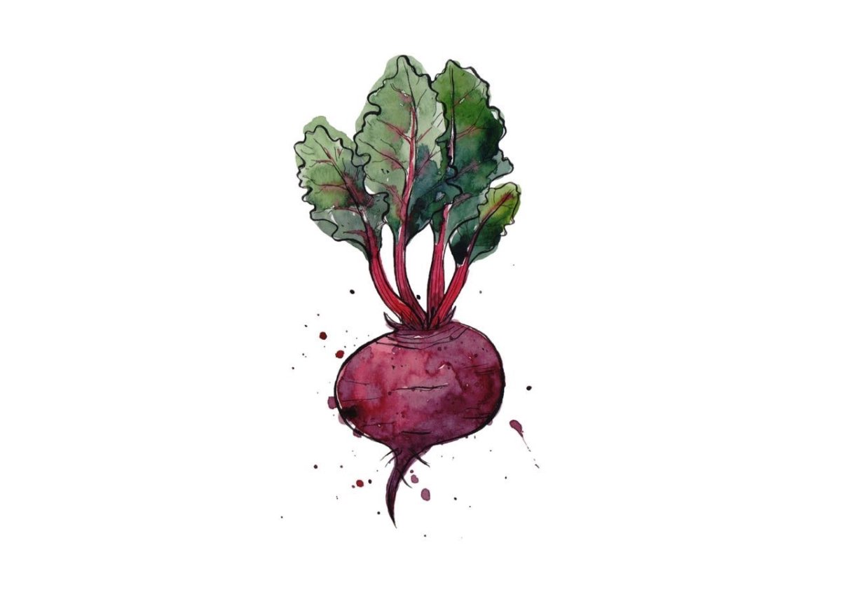 Буряк вектор