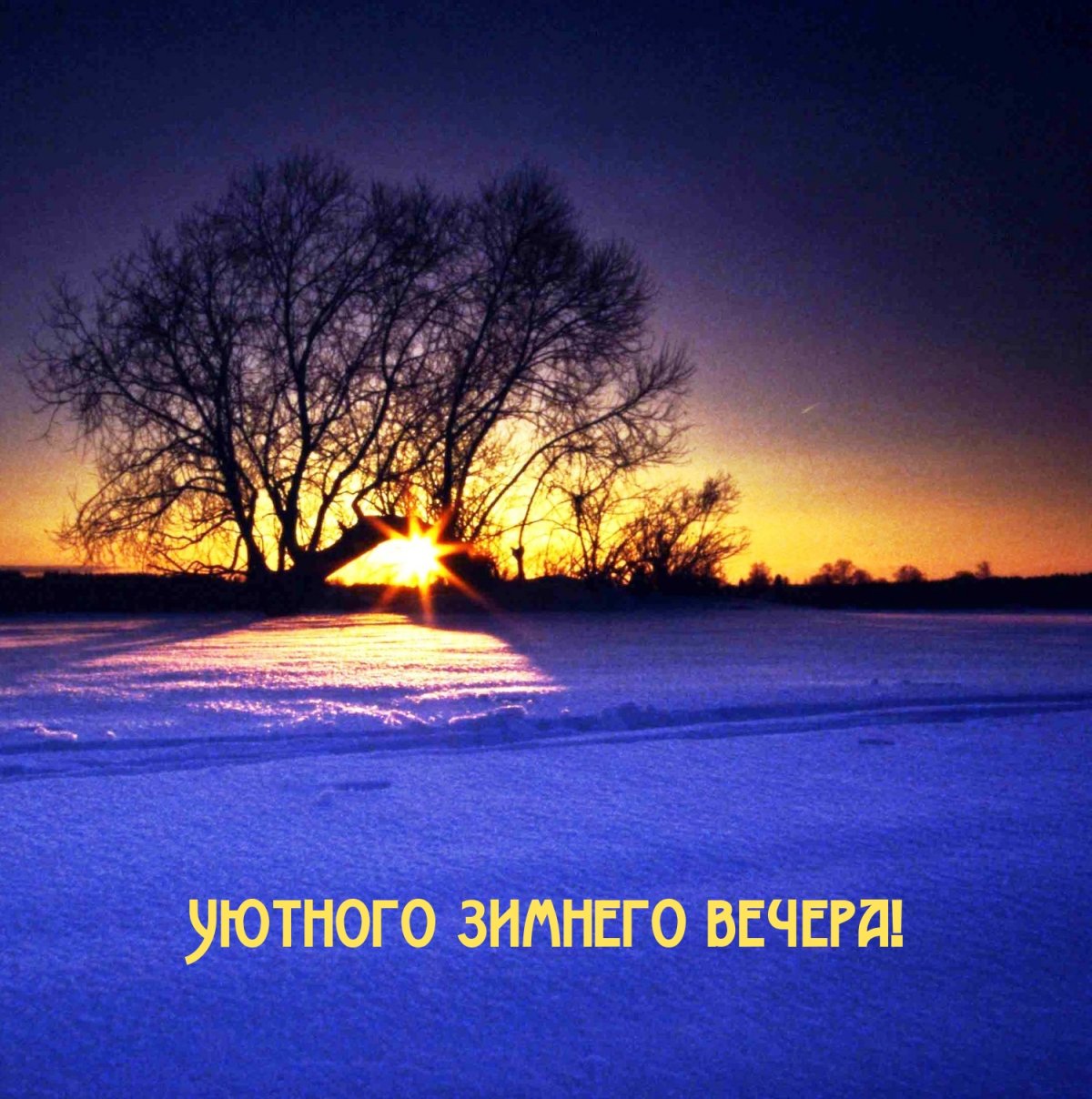 Новогодний парк вечером