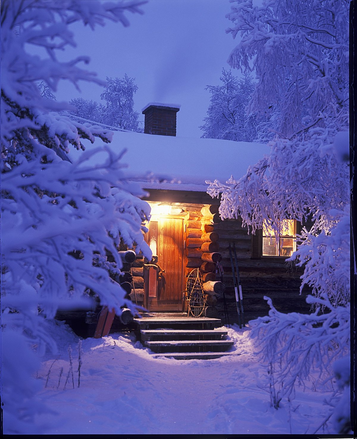 В зимнем парке метель