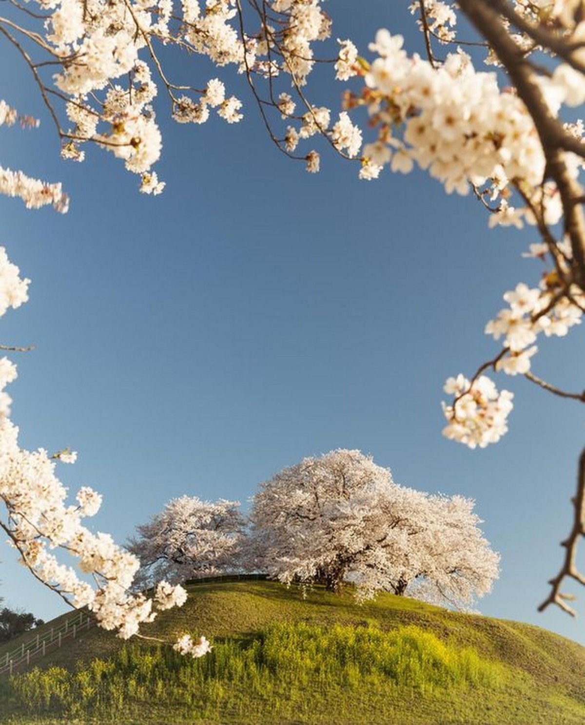 Красивые весенние пейзажи