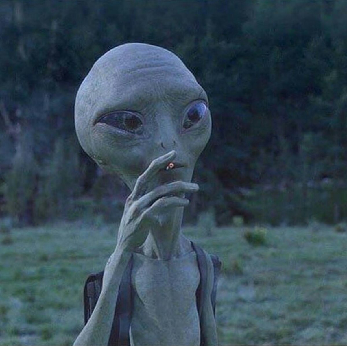 Похищение инопланетянами фото