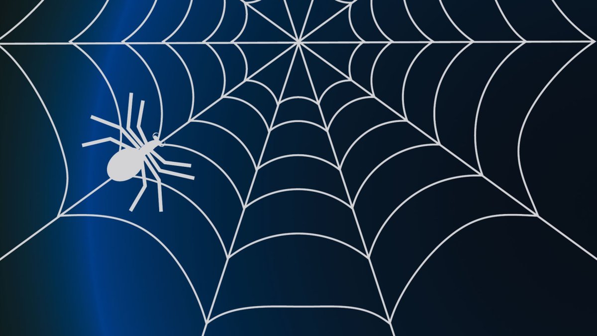 Паутина на синем фоне