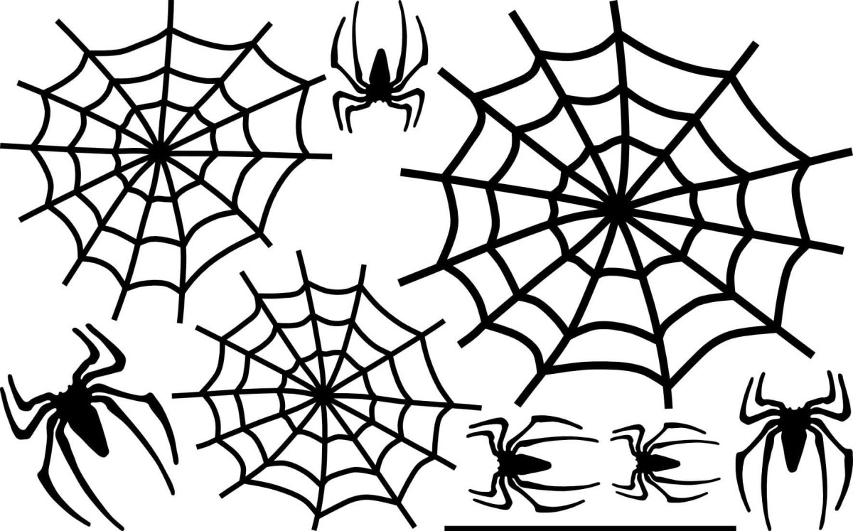 Рисунок паука с паутиной на тему Хэллоуин